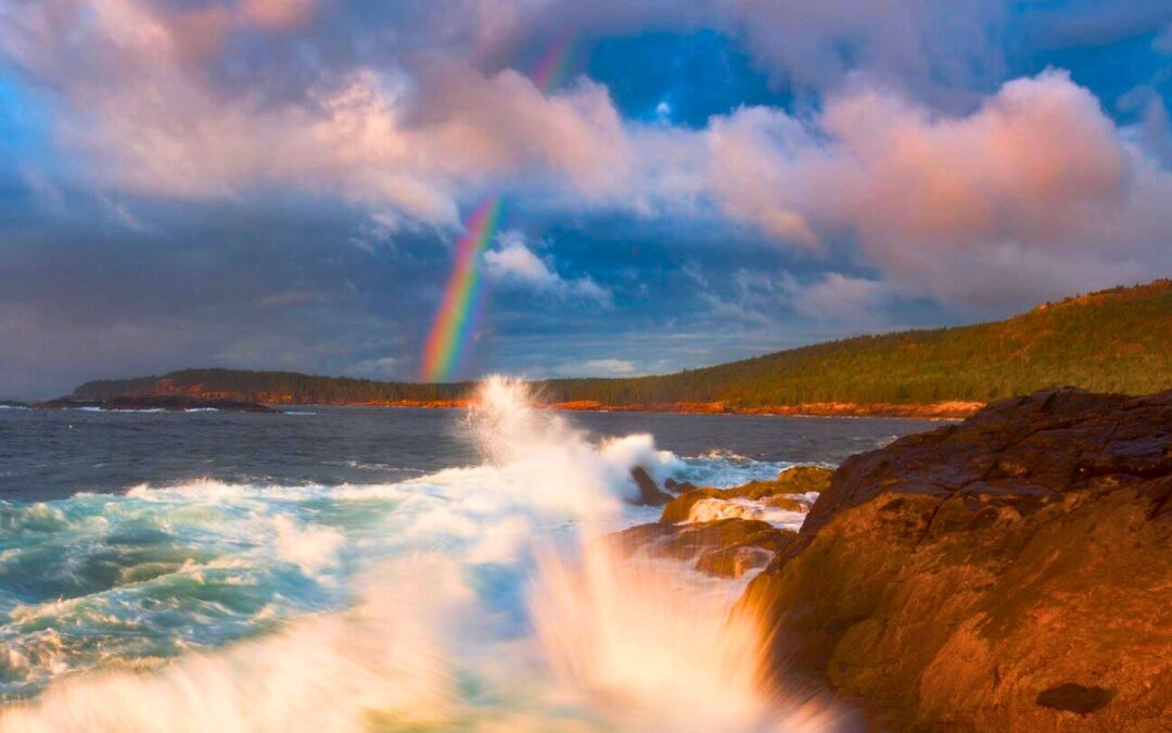 Meditation: Collecting and Quieting the Mind (17:02 min.)