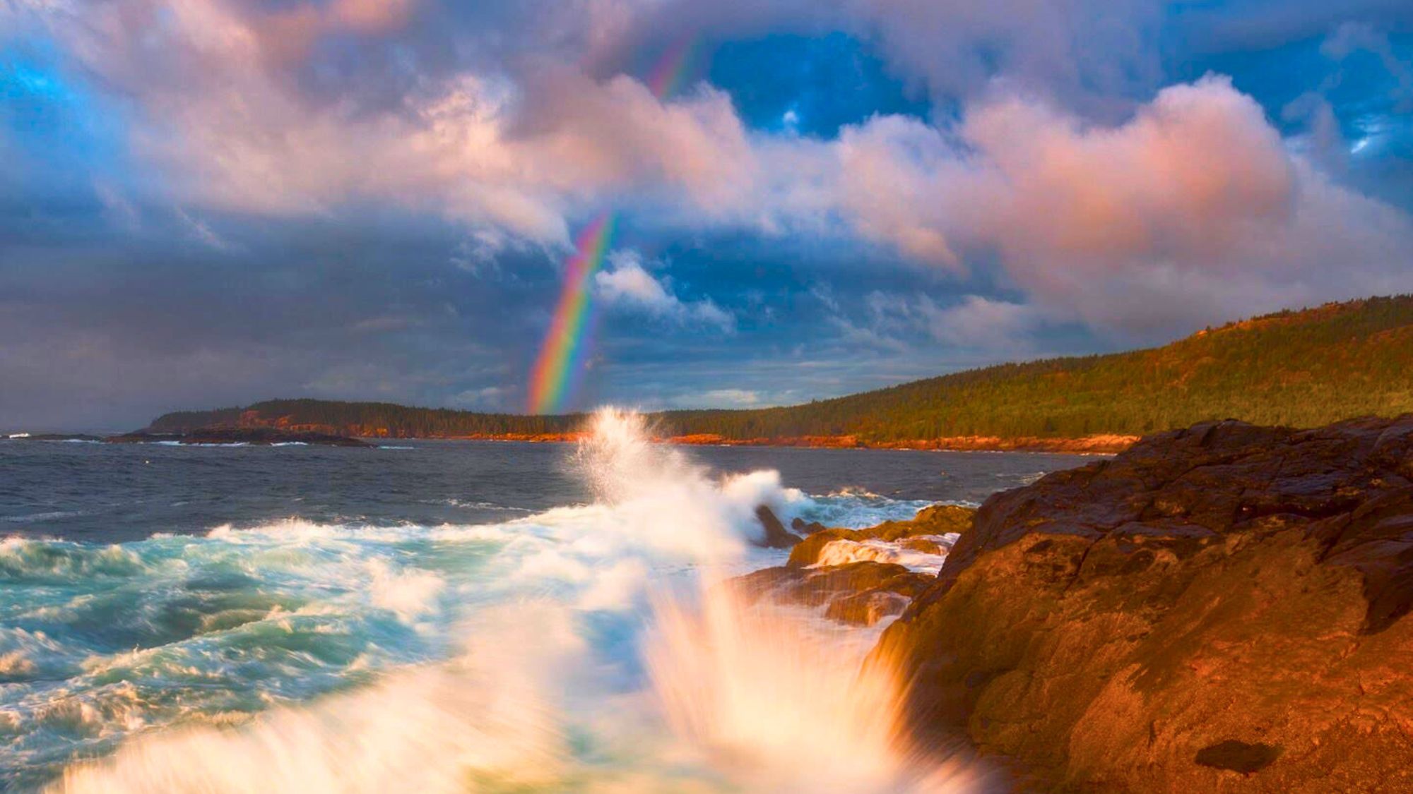 Meditation: Collecting and Quieting the Mind (17:02 min.)