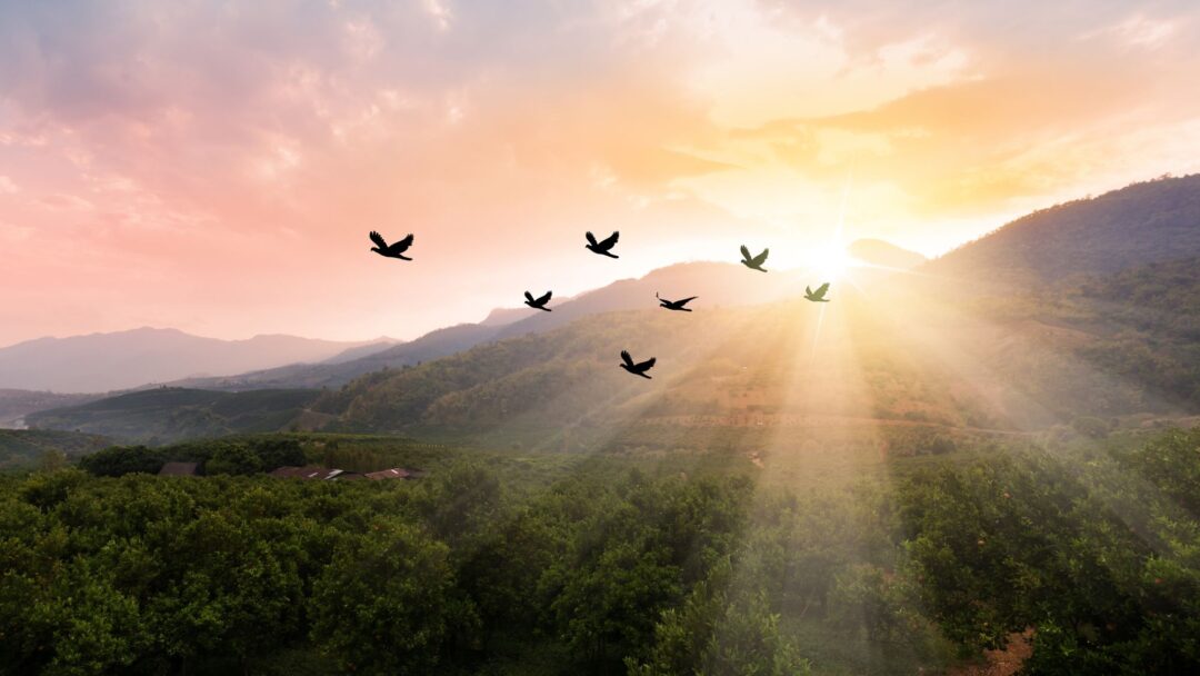 The Power of the Sacred Pause