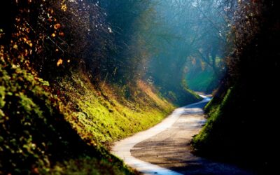 Awakening Compassion in a Fearful World: The Practice of Tonglen