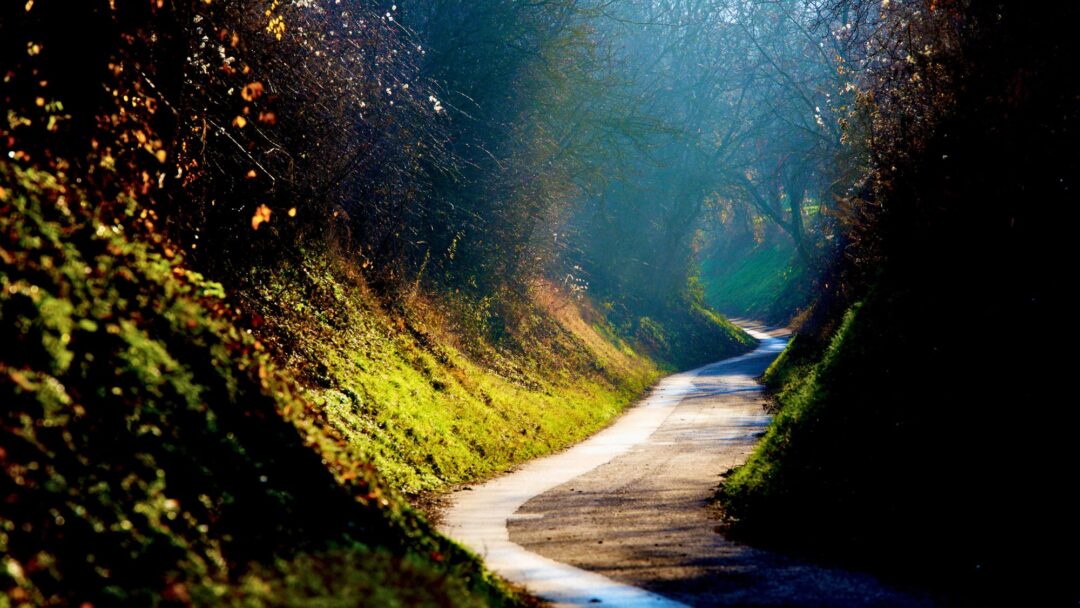 Awakening Compassion in a Fearful World The Practice of Tonglen Awakening Compassion in a Fearful World The Practice of Tonglen