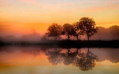 The Evolving of Generosity