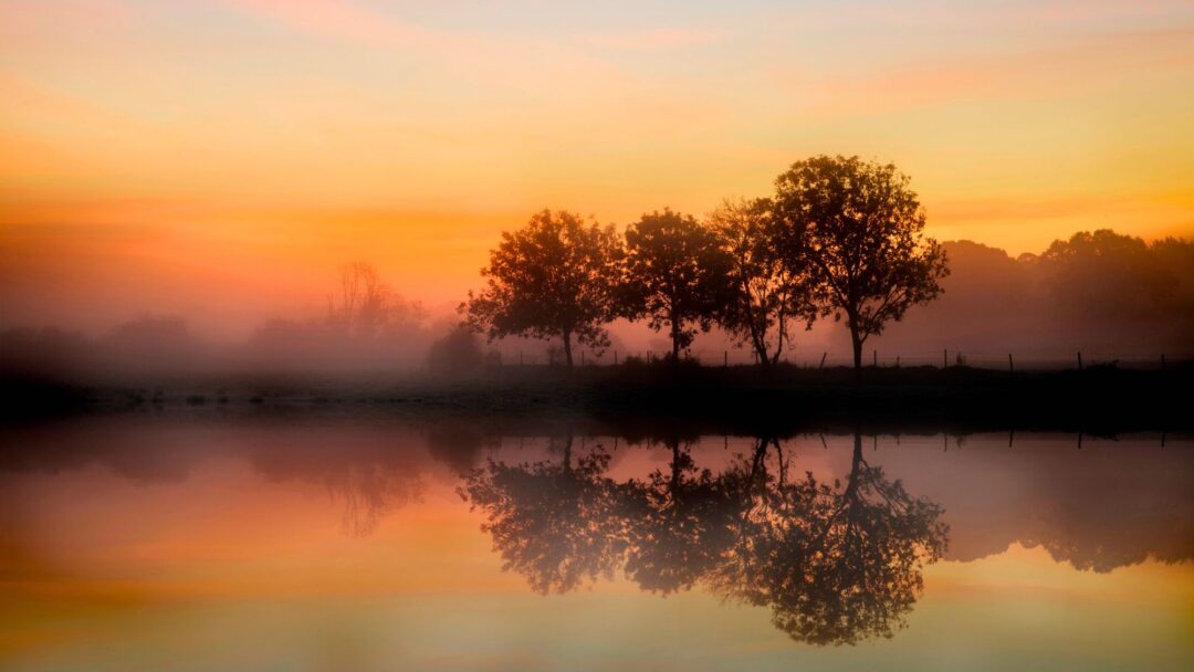 The Evolving of Generosity