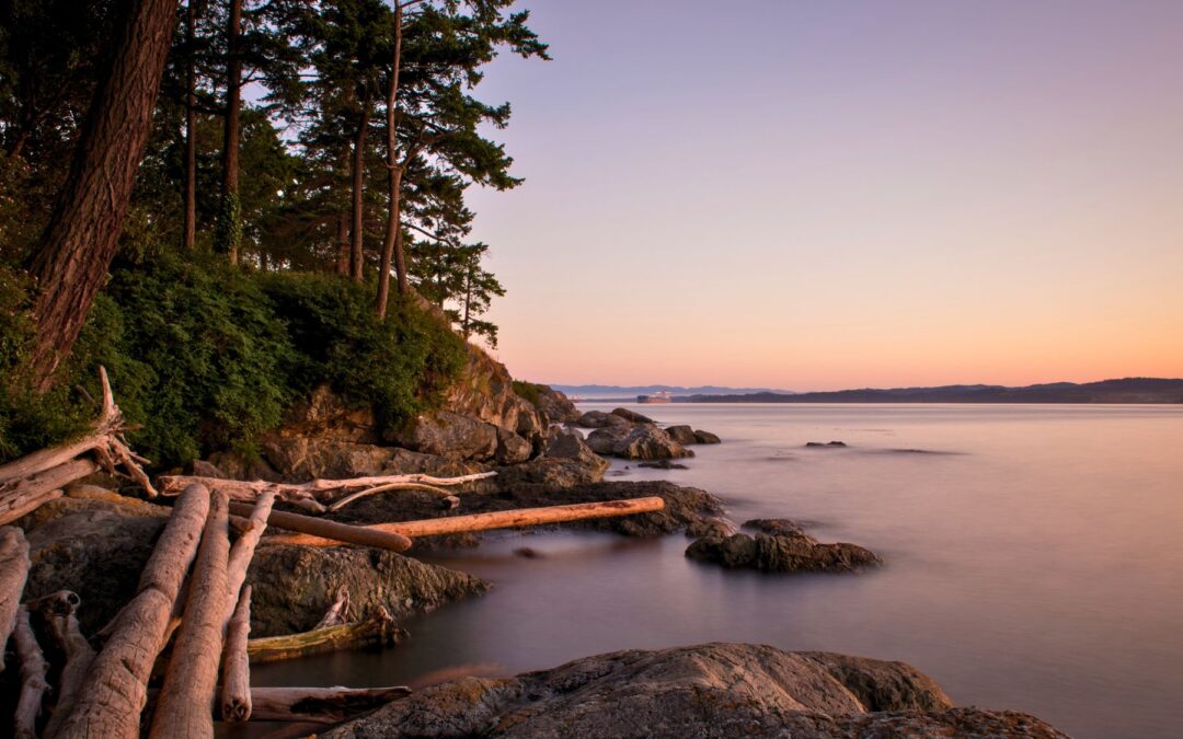 Meditation: Meeting Life with a Kind Presence (21:28 min.)