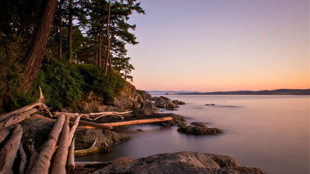 Meditation Meeting Life with a Kind Presence (2128 min.) Meditation Meeting Life with a Kind Presence (2128 min.)