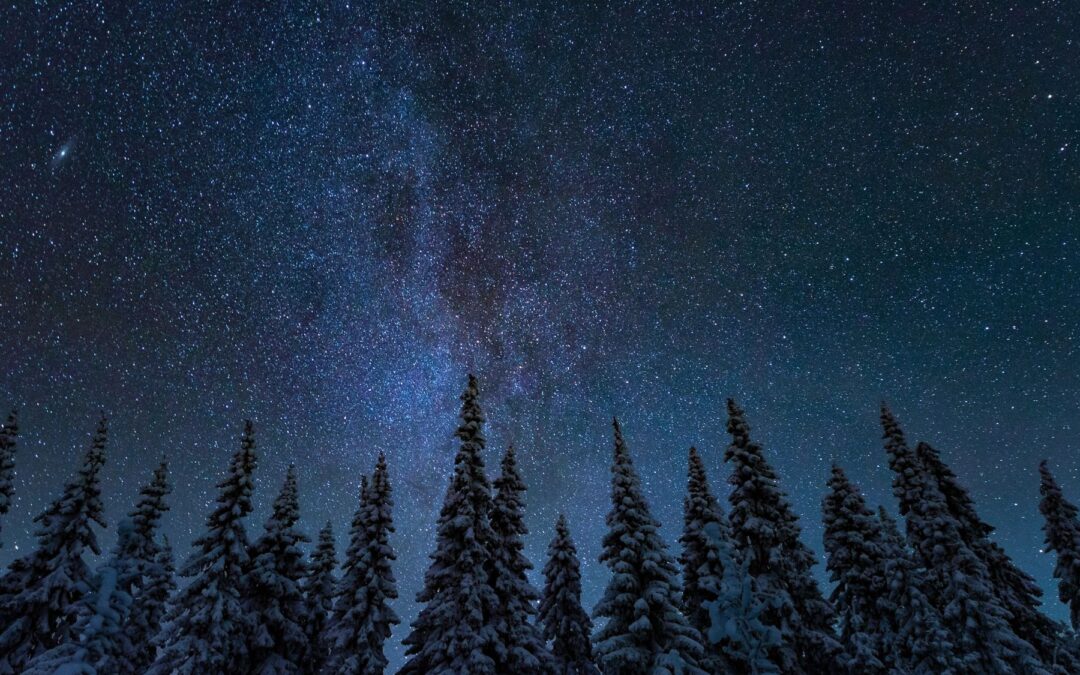 Meditation on Intention: Coming Home to What Truly Matters (22:38 min.)