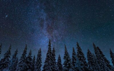 Meditation on Intention: Coming Home to What Truly Matters (22:38 min.)