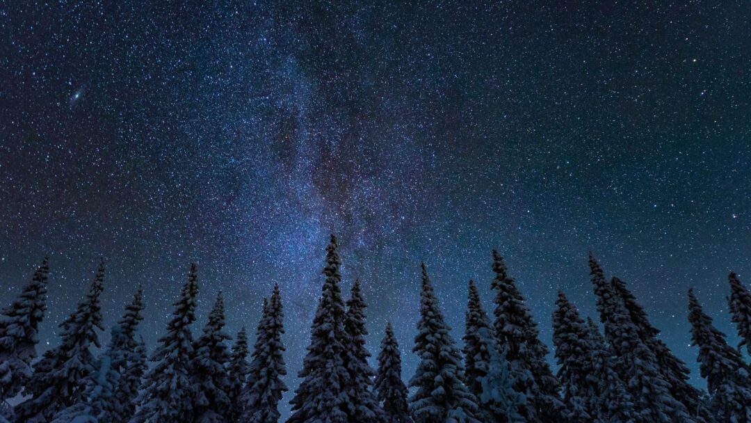 Meditation on Intention Coming Home to What Truly Matters (2238 min.) Meditation on Intention Coming Home to What Truly Matters (2238 min.)