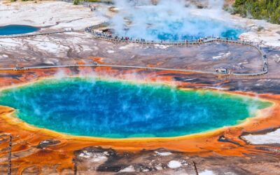 The Liberating Power of Conscious Intention – Part 2