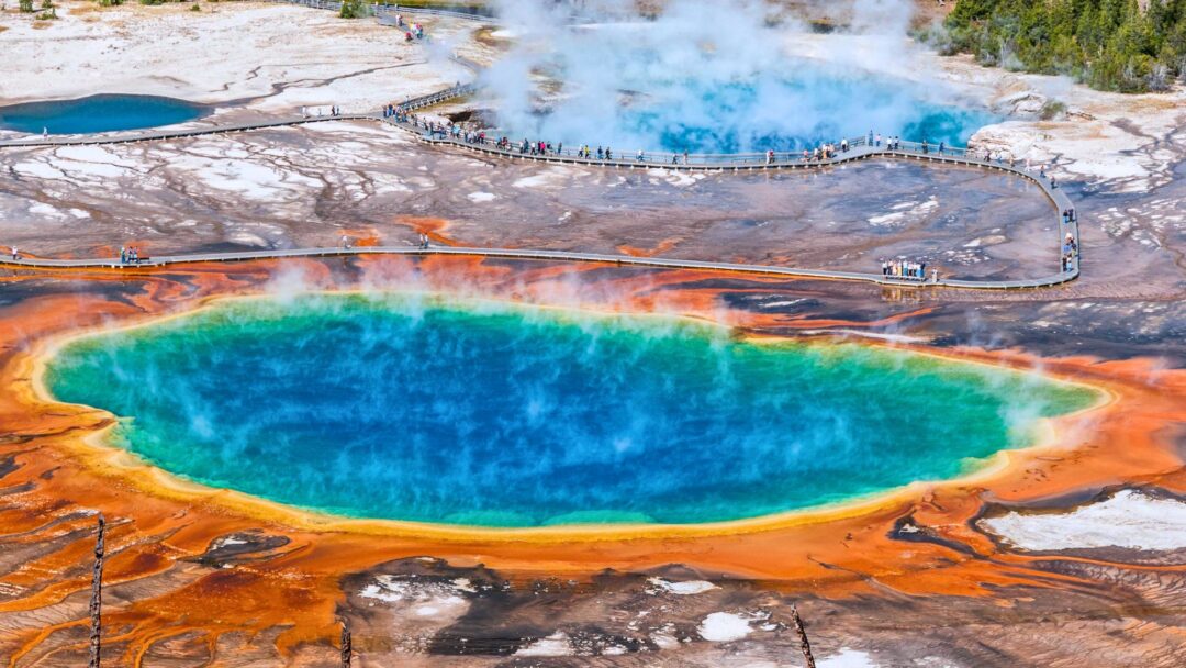 The Liberating Power of Conscious Intention 2