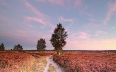 3 Degrees Friendlier: Small Shifts That Transform Everything