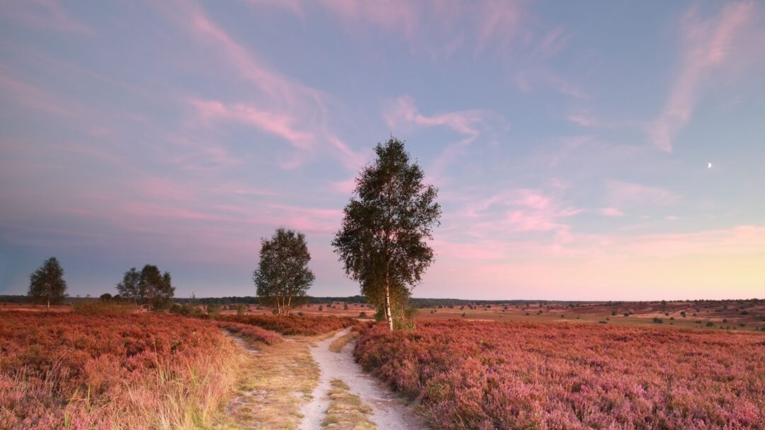 3 Degrees Friendlier Small Shifts That Transform Everything