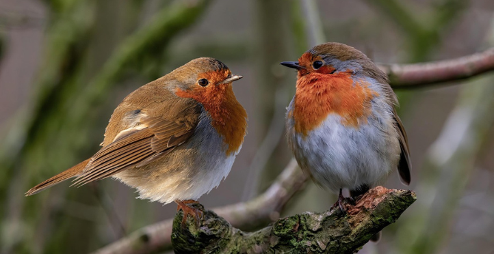 Nourishing Friendliness