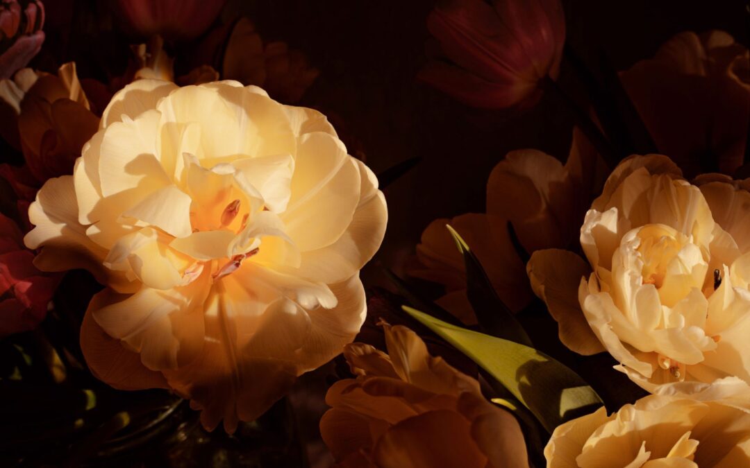 How Hope Can Heal and Free Us – Part 2