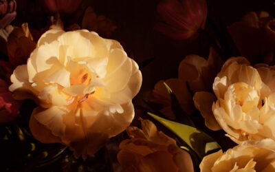 How Hope Can Heal and Free Us – Part 2