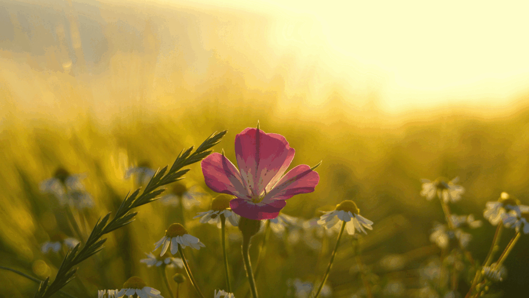 Meditation: Energy and Source (19:35 min)