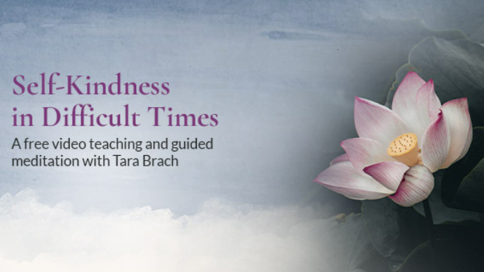 Self-Kindness in Difficult Times - Free Video