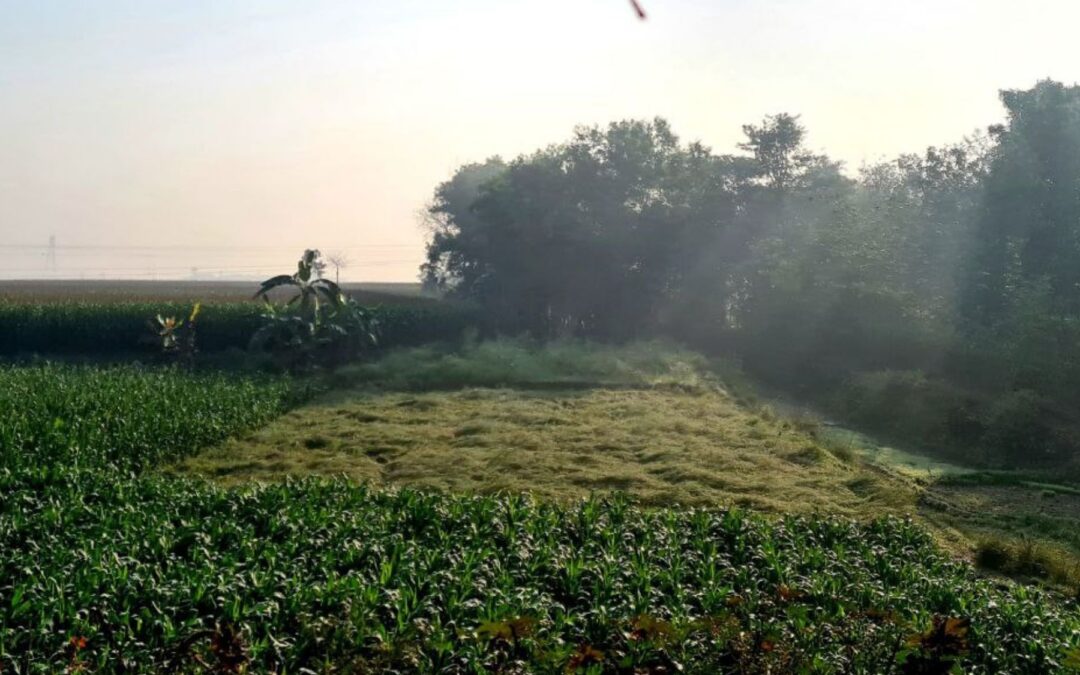 Meditation: Know That You’re Here (19:38 min)