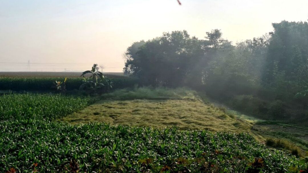 Meditation Know That You're Here