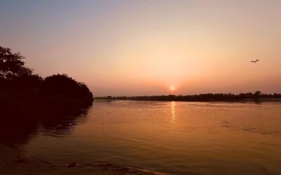 Meditation: Vipassana – Opening Our Hearts to Life as It Is (20 min.)