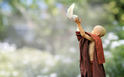 Letting Go of Controlling: The Path of Freedom – Part 2