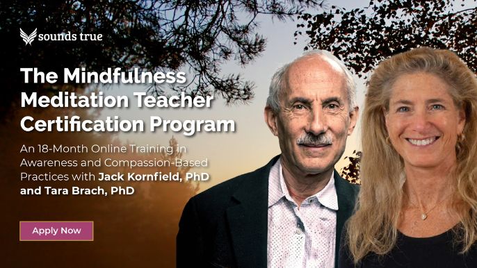 Daily Practice Guidelines: Working with Trauma and PTSD