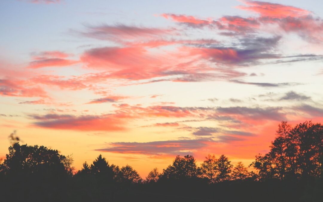 Meditation: A Witnessing, Kind Presence (20:21 min)