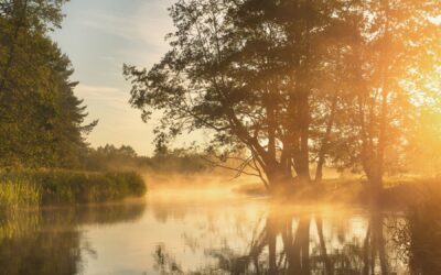 Meditation: Inhabiting Awake Awareness (21:49)