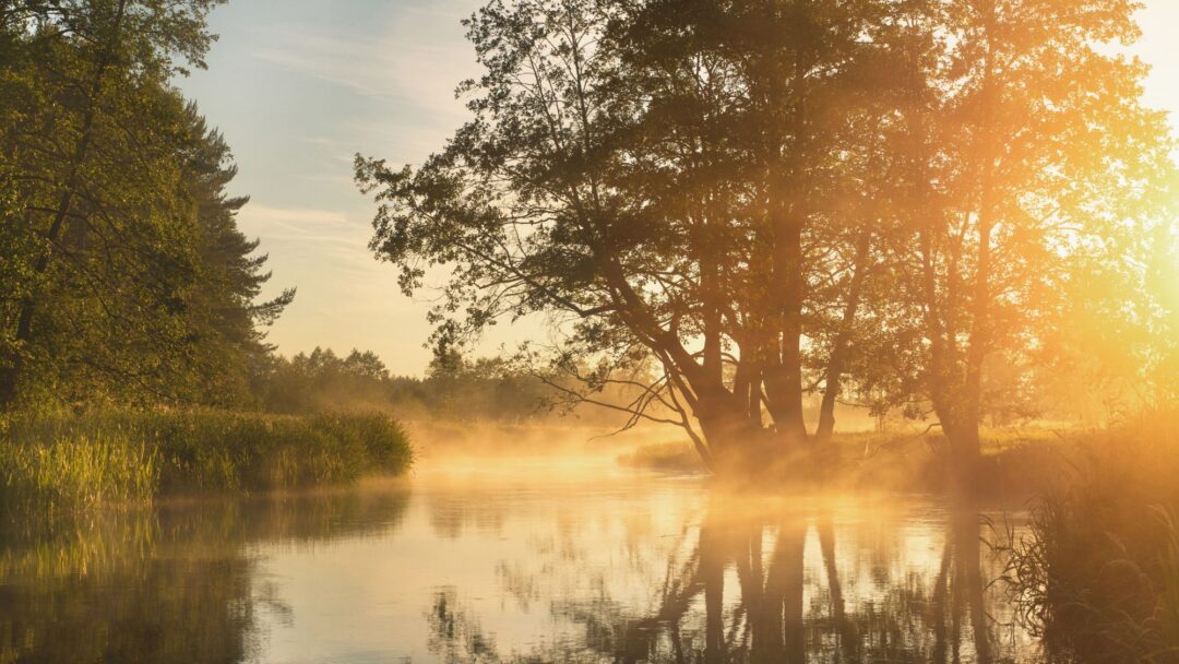 Meditation Inhabiting Awake Awareness (2149)