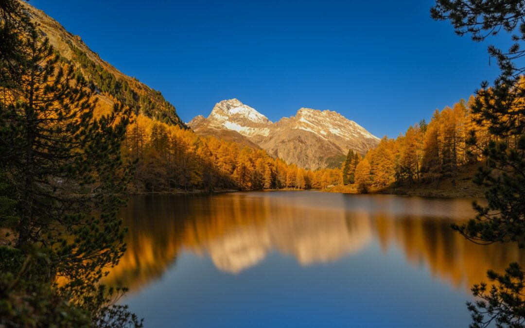 Meditation: The Pathway of Deep Listening (21:16 min)