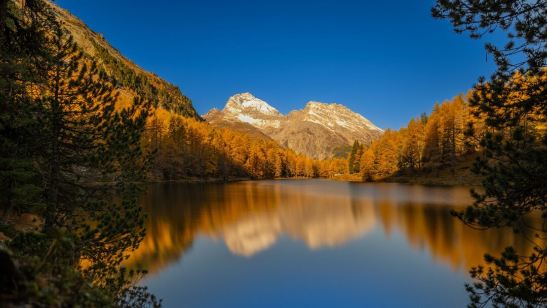 Meditation The Pathway of Deep Listening (2116 min)