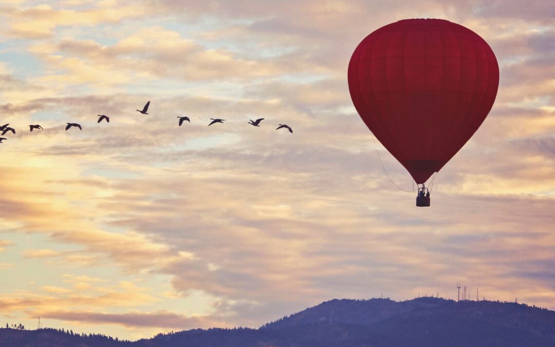 Meditation: Embodying Loving Awareness (19:42 min.)