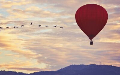Meditation: Embodying Loving Awareness (19:42 min.)