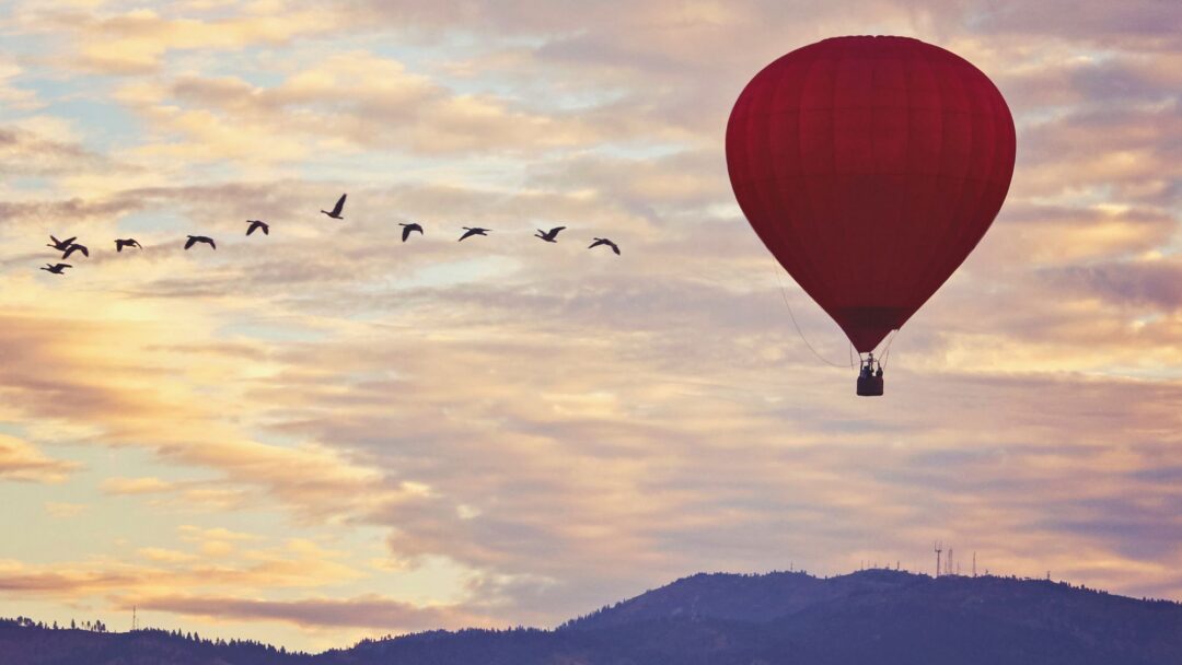 Meditation Embodying Loving Awareness (1939 min.)