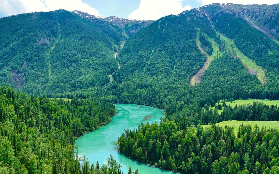 Meditation: Vipassana – The Practice of Seeing Clearly (18:31 min.)