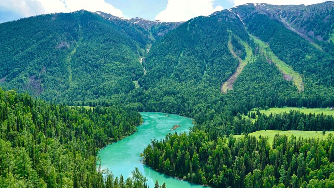 Meditation Vipassana - The Practice of Seeing Clearly (1831 min.)