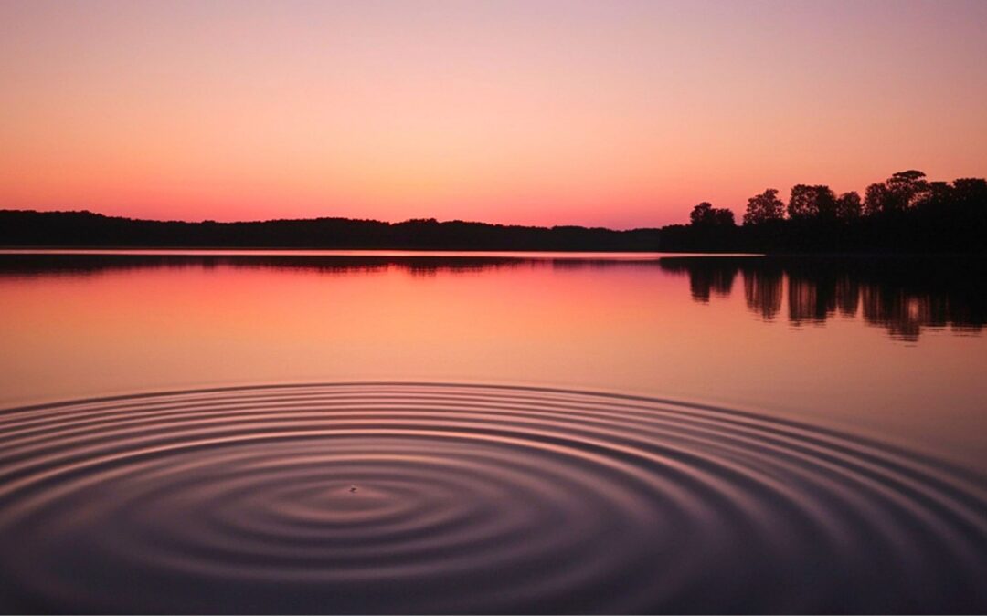 Meditation: Widening Rings of Being (20:26 min.)