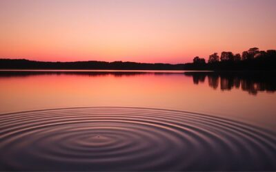 Meditation: Widening Rings of Being (20:26 min.)