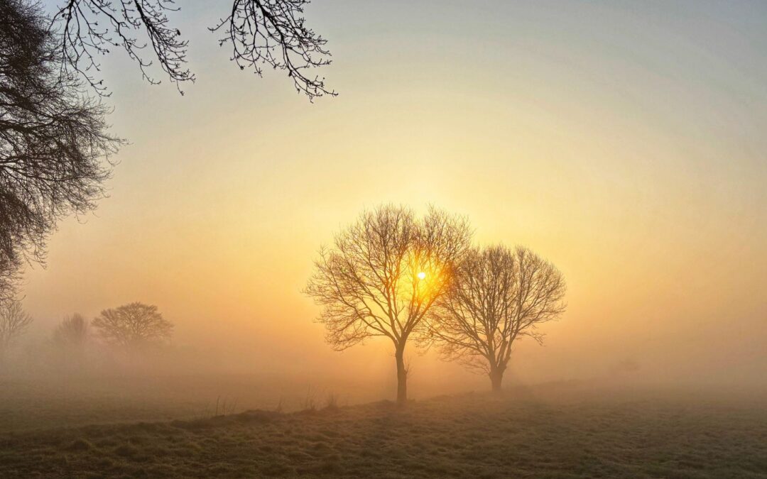 The Honesty Challenge – Getting More Truthful with Ourselves and Our World