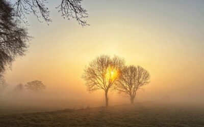 The Honesty Challenge – Getting More Truthful with Ourselves and Our World