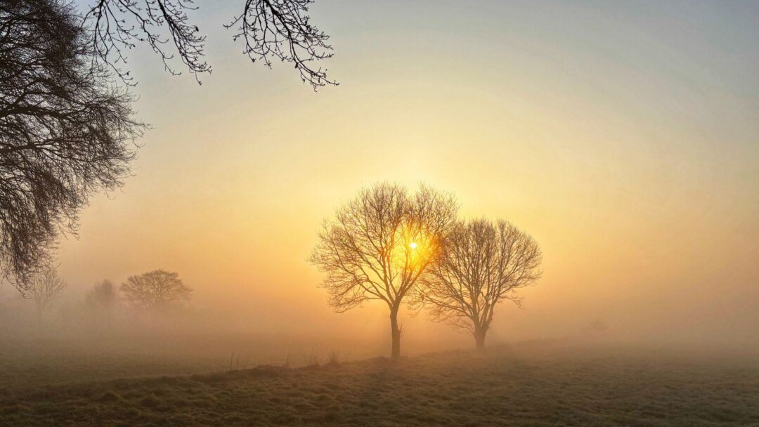 The Honesty Challenge - Getting More Truthful with Ourselves and Our World