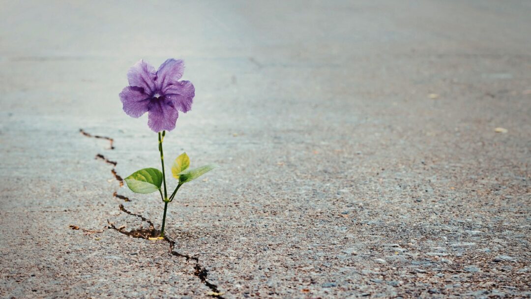 This Messy, Gorgeous Love—a Conversation with Tara and Devon and Nico Hase