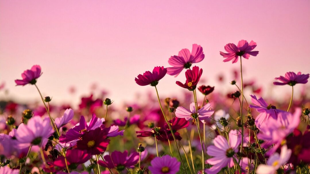 Lovingkindness - Part 1 of Present Heart The Universal Expressions of Love