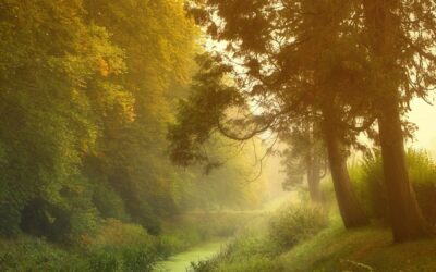 Meditation: Relaxing Back into the Mystery (18:47 min.)