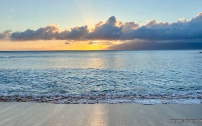 Meditation: Know That You’re Here (19:37 min)