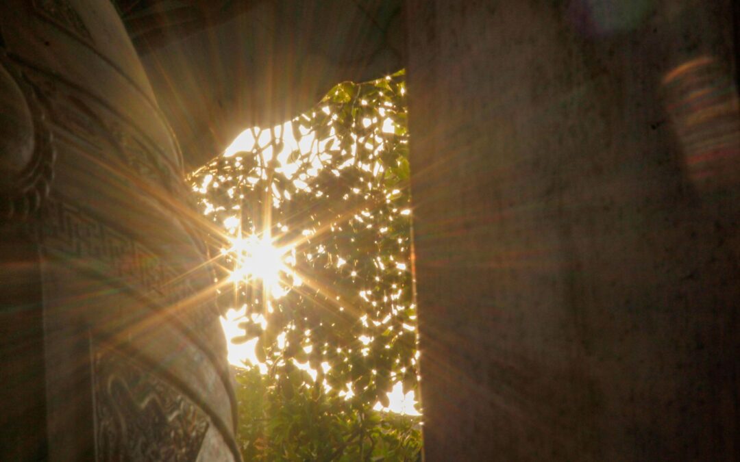 Meditation: The Breath – Portal to Presence (19:31 min)