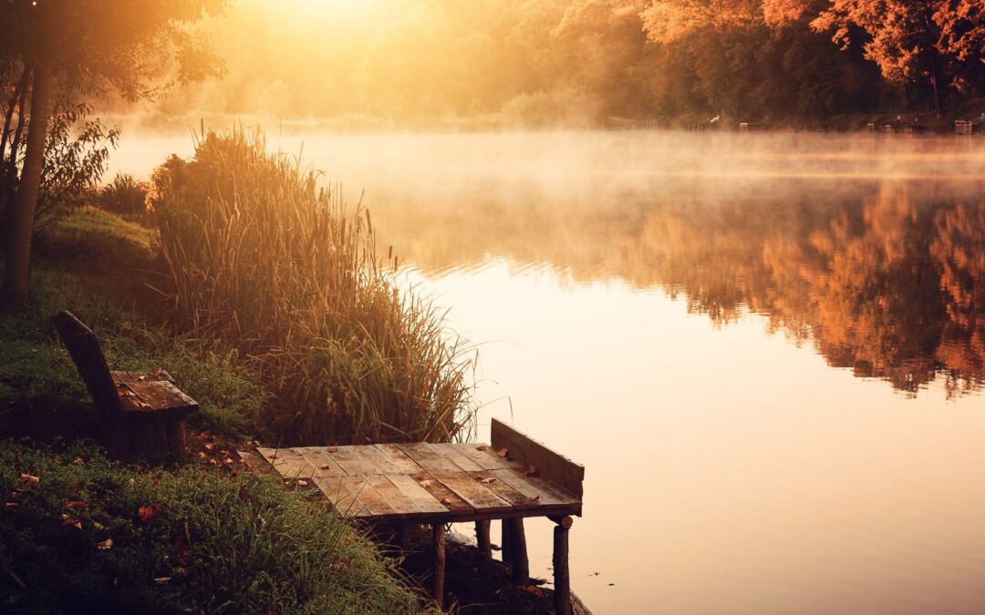 Ask Me Anything (Part 1): Fear, Self-Compassion, Grief, Trauma & Awakening
