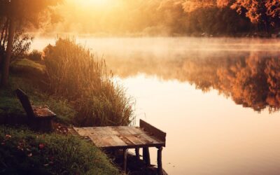 Ask Me Anything (Part 1): Fear, Self-Compassion, Grief, Trauma & Awakening