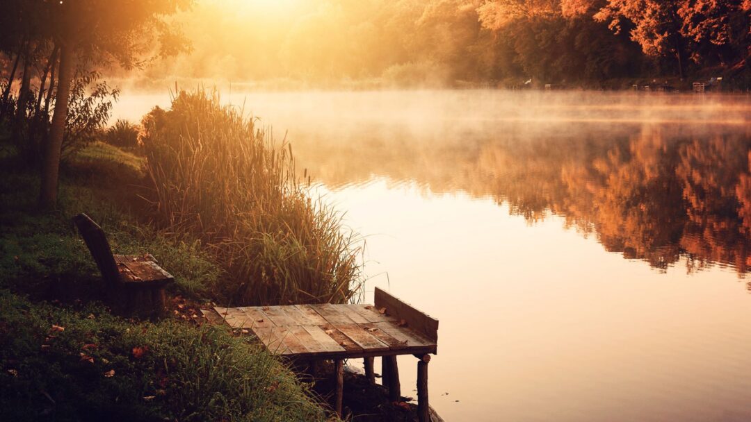 Ask Me Anything (Part 1) Fear, Self-Compassion, Grief, Trauma & Awakening Ask Me Anything (Part 1) Fear, Self-Compassion, Grief, Trauma & Awakening