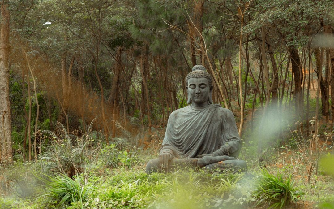 Meditation: Embodying Acceptance and Care (16:05 min.)